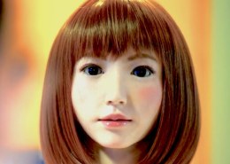 Idee: Statt Sexrobotor Partner Roboter für Senioren / Demenzkranke